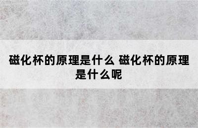 磁化杯的原理是什么 磁化杯的原理是什么呢